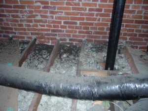 Picture of attic space containing bat guano prior to bat removal